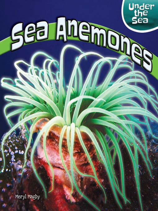 Cover image for Sea Anemones